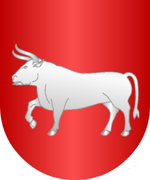ESCUDO ALEATORIO